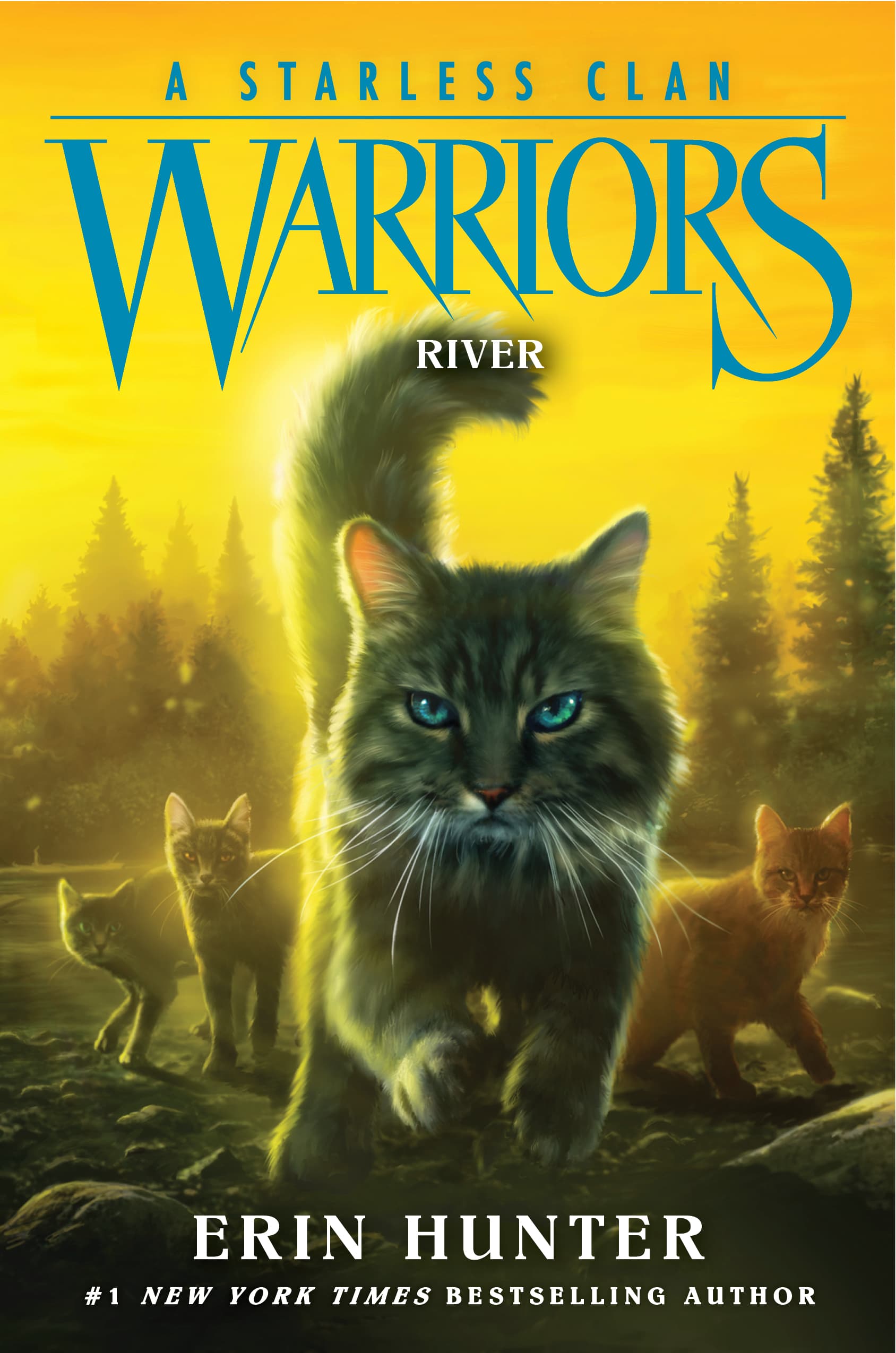 River cover (Arc 8: A Starless Clan)