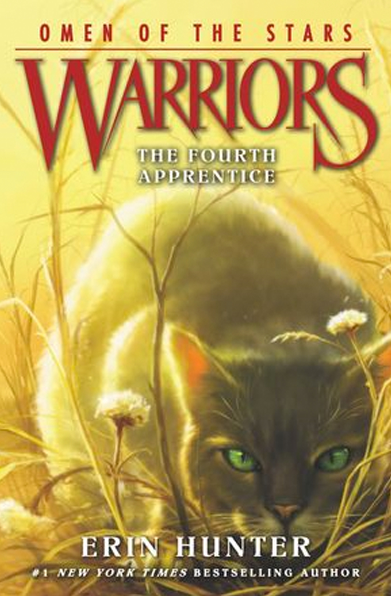 The Fourth Apprentice cover (Arc 4: Omen of the Stars)